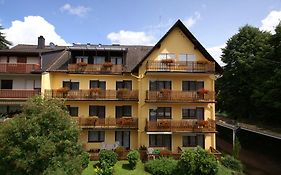 Hotel Weidenau